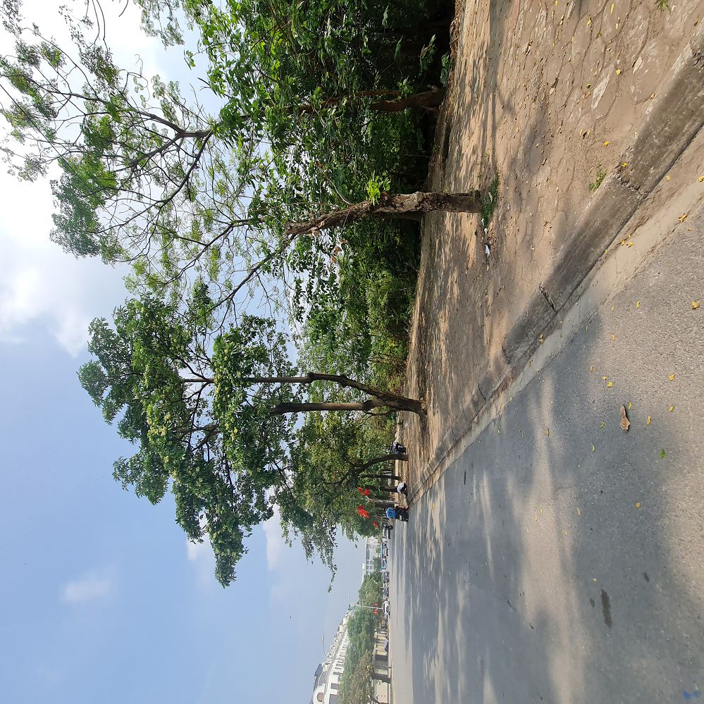 202m2 đất Gia Lâm, Hà Nội. Đường ô tô, thông 2 trục lớn. Khuôn đẹp, giá đầu tư. Lh 0989894845 - Ảnh 2